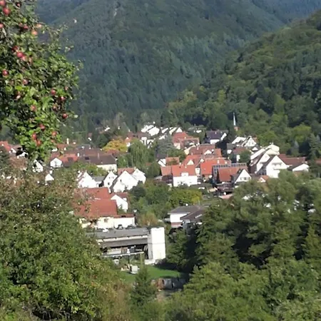 Апартаменты Am Sulzbach *
