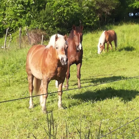 Am Sulzbach Апартаменты Eusserthal