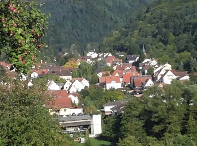 아파트 Am Sulzbach *