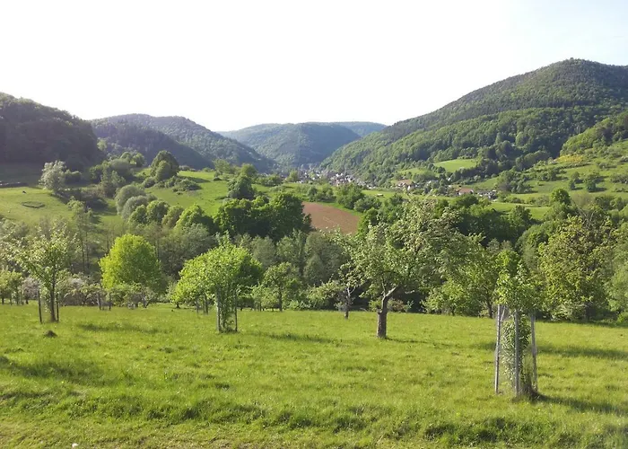 Am Sulzbach Apartment *